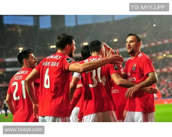 本菲卡逆袭马竞全场沸腾精彩集锦回顾欧冠激战瞬间